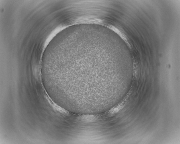 X0000059801094200511111555