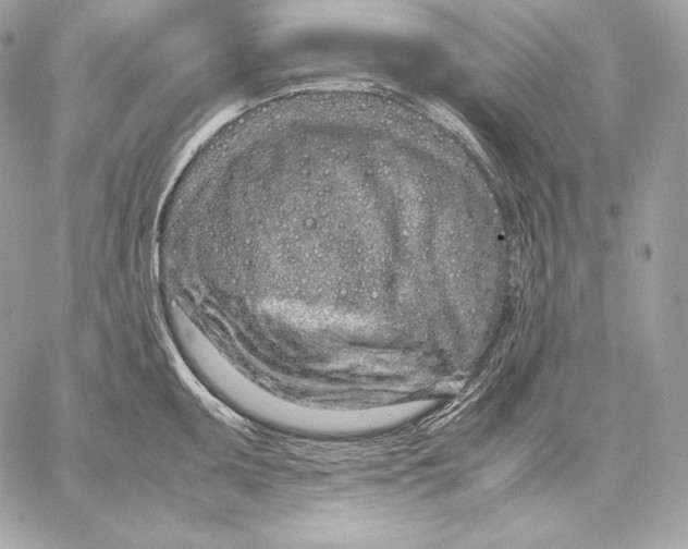 X0000059801095200511111555