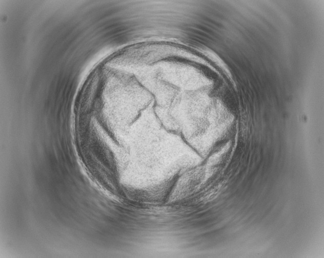 X0000059801096200511111554