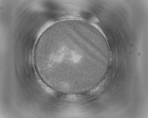 X0000059801098200511111554