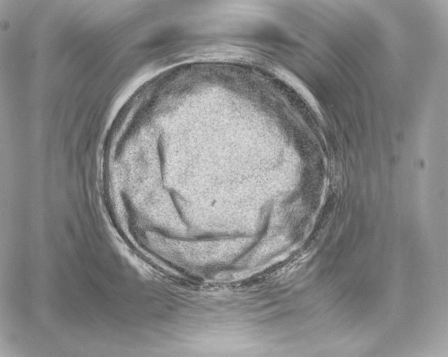 X0000059801099200511111554