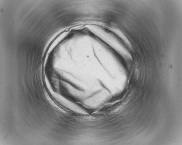 X0000059801100200511111554