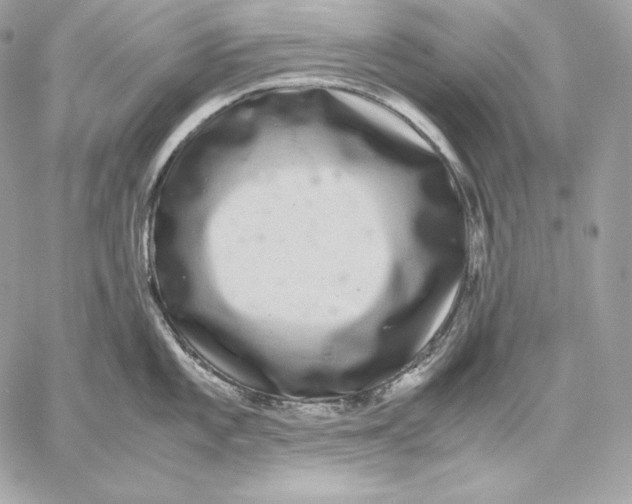 X0000059801101200511111554