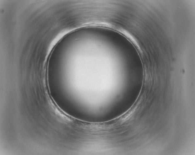 X0000059801102200511111554