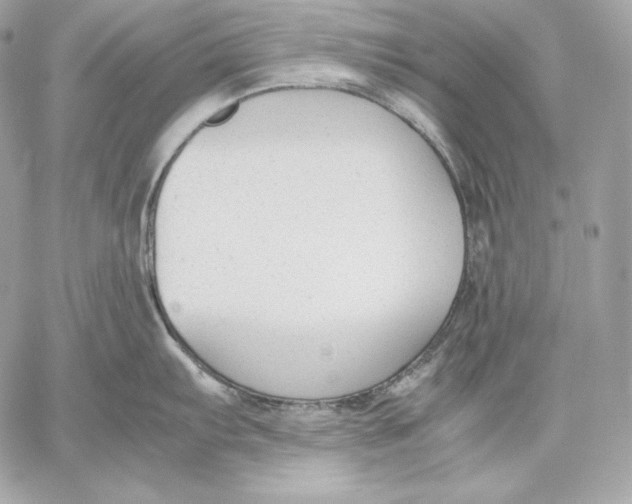 X0000059801103200511111554