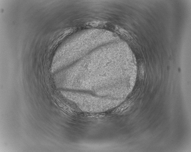 X0000059801105200511111554