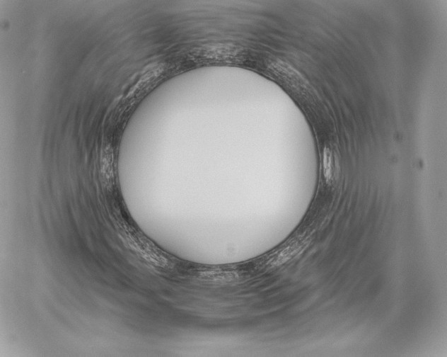 X0000059801107200511111554