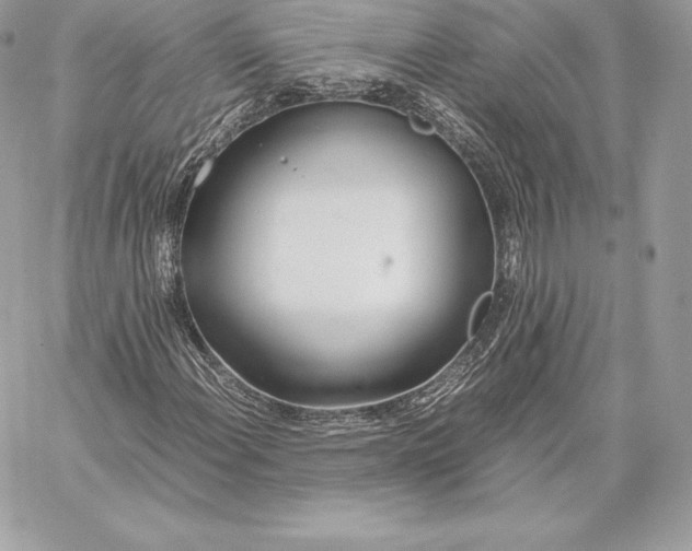 X0000059801108200511111554