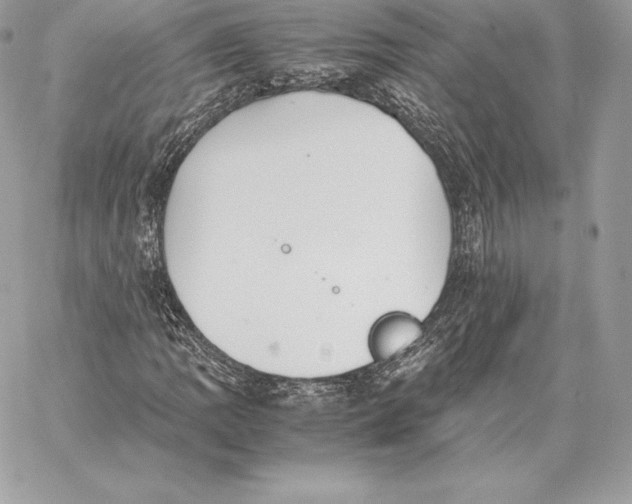 X0000059801109200511111554