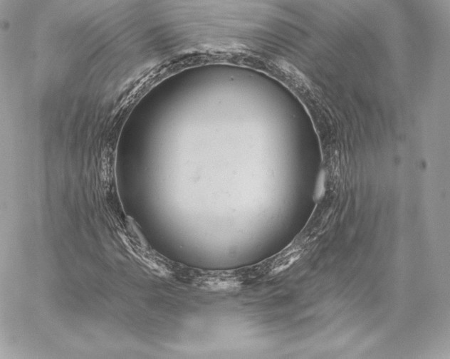 X0000059801110200511111554