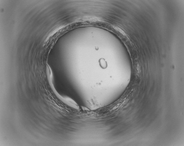 X0000059801112200511111554