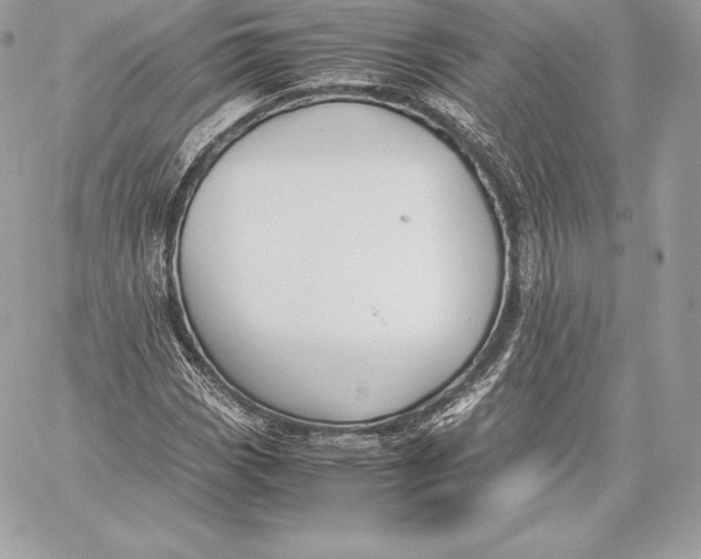 X0000059801113200511111554