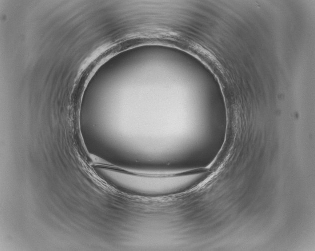 X0000059801114200511111554