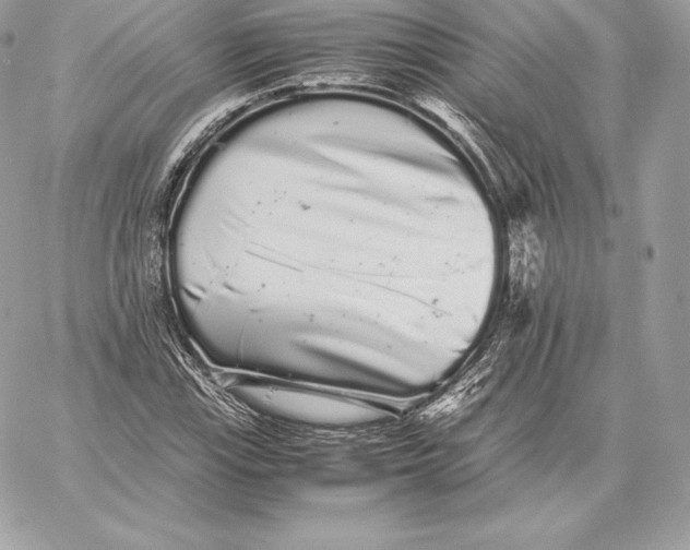 X0000059801115200511111554