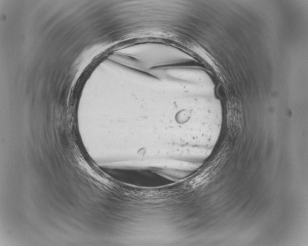 X0000059801116200511111554