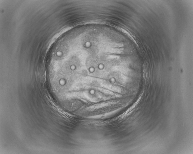 X0000059801117200511111554