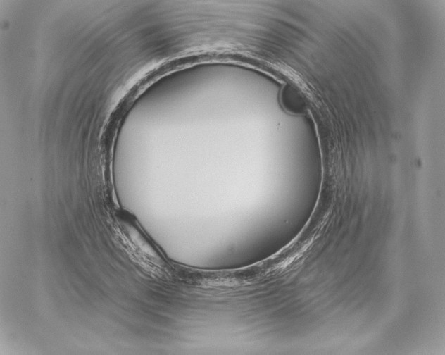 X0000059801118200511111554