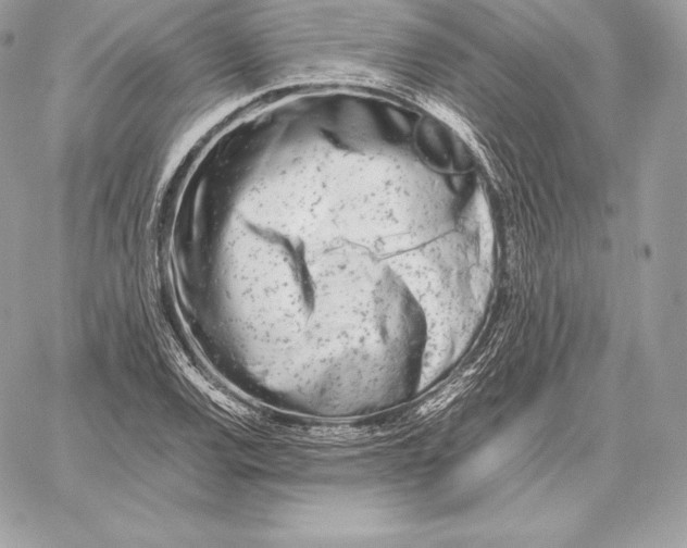 X0000059801120200511111554