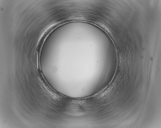 X0000059801123200511111554