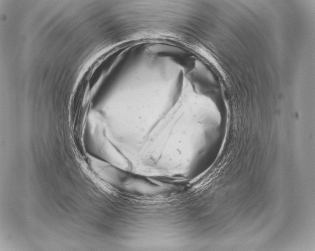 X0000059801124200511111554