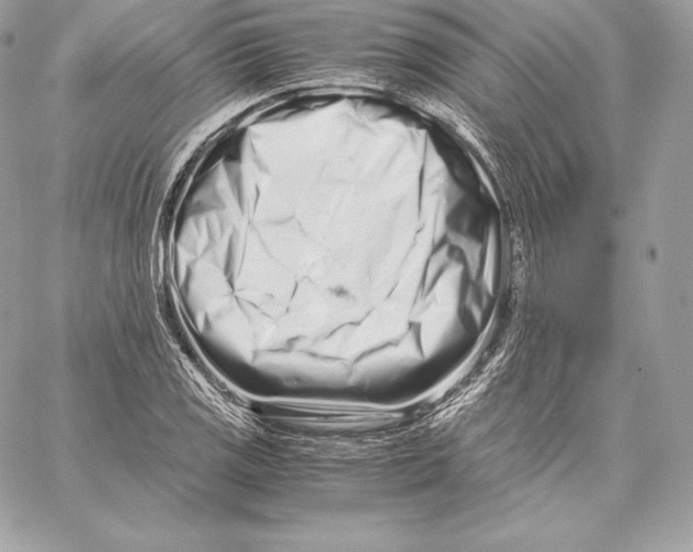 X0000059801125200511111554