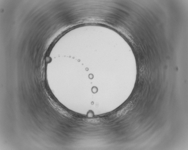 X0000059801126200511111554