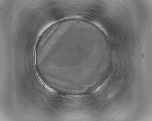 X0000059801127200511111554