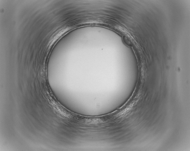 X0000059801129200511111554