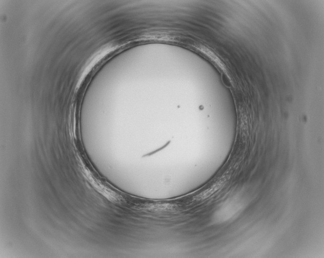 X0000059801131200511111554