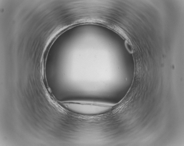 X0000059801132200511111554