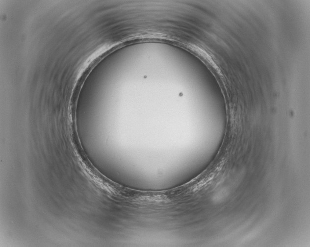 X0000059801133200511111554