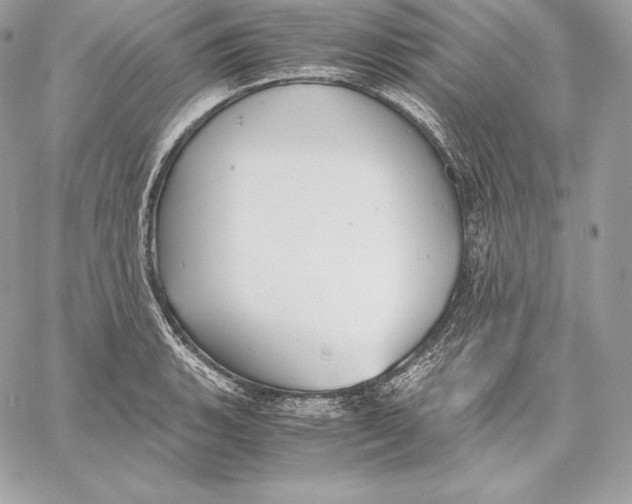 X0000059801135200511111554