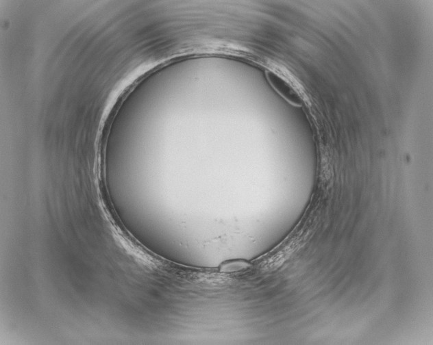 X0000059801136200511111554