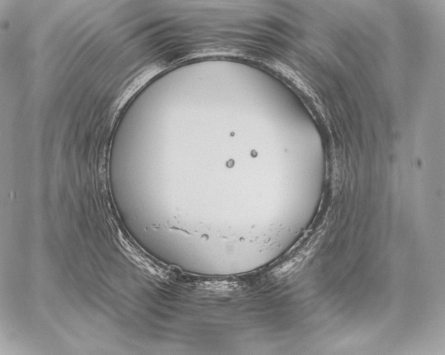 X0000059801137200511111554