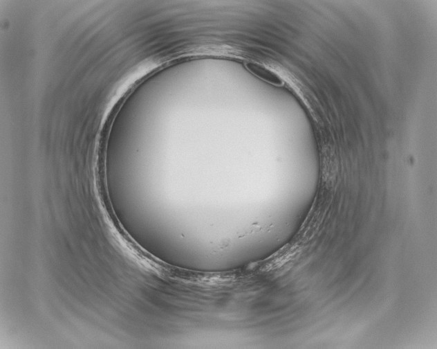 X0000059801139200511111554