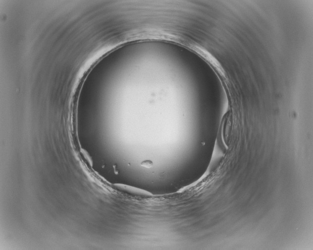 X0000059801144200511111554