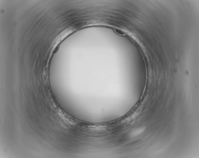 X0000059801145200511111554