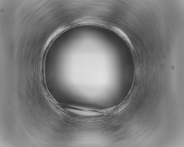 X0000059801146200511111554