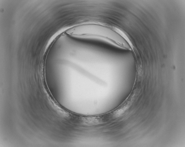 X0000059801149200511111554