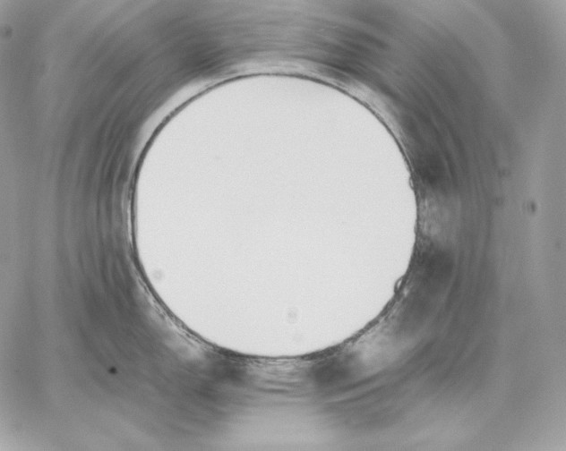 X0000059801150200511111554