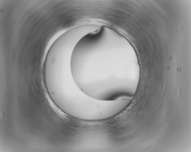 X0000059801152200511111554