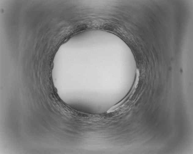 X0000059801153200511111554