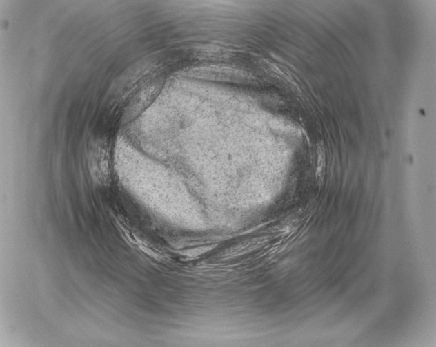 X0000059801154200511111554