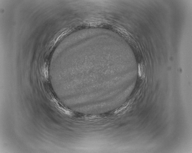 X0000059801155200511111554