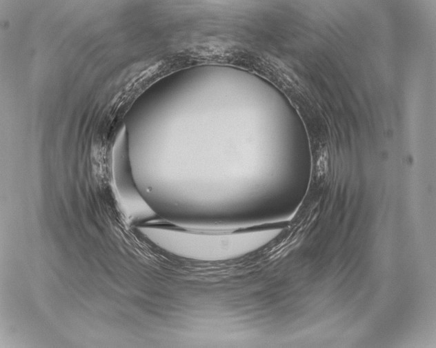 X0000059801156200511111553