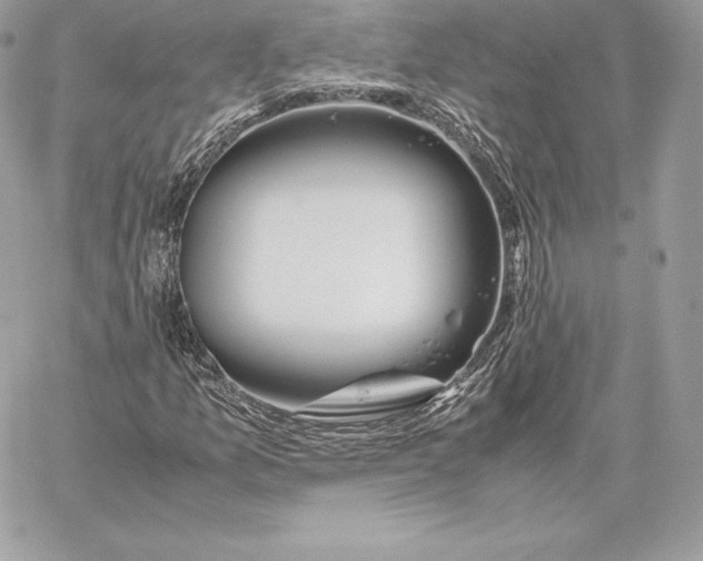 X0000059801157200511111553