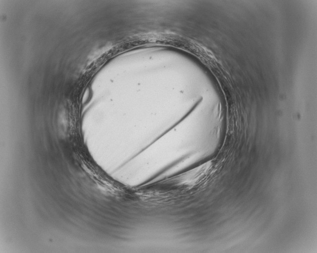 X0000059801158200511111553