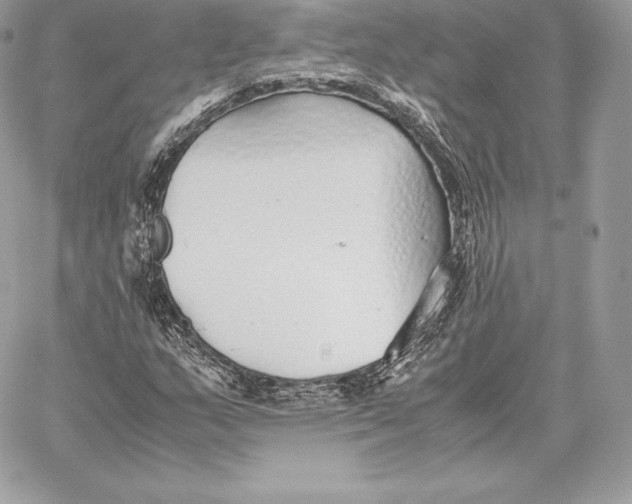 X0000059801159200511111553