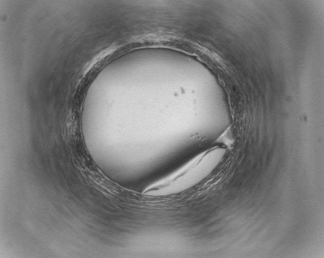 X0000059801160200511111553