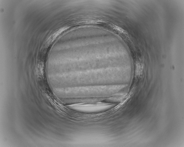 X0000059801161200511111553